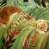Repro sample #223 Henri Rousseau Suprised!